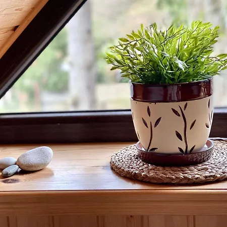 公寓 Marea Przy Promenadzie Slonca *